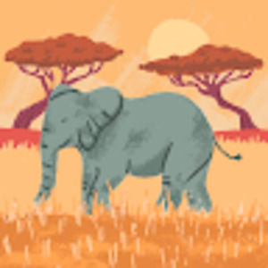 Meet your Posher, Maya